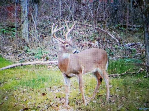 50 a County Road 7, Woodville, AL, 35776 | Card Image