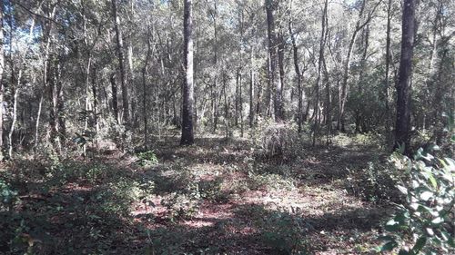 2010 Falkner St, INVERNESS, FL, 34453-2345 | Card Image