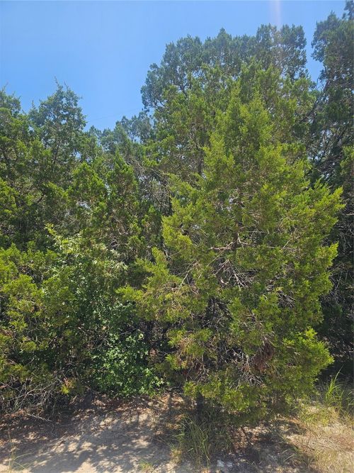 20400 Archer Cv, Lago Vista, TX, 78645 | Card Image