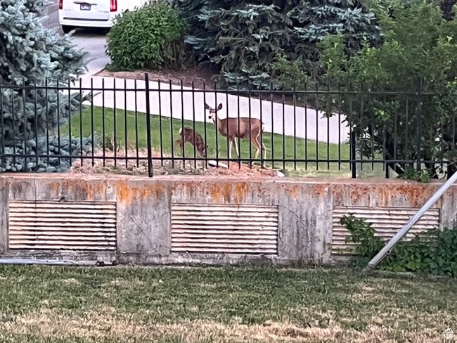 View of gate with a lawn | Image 31