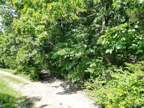 12348 Frederick Ct, Festus, MO, 63028-3695 | Card Image