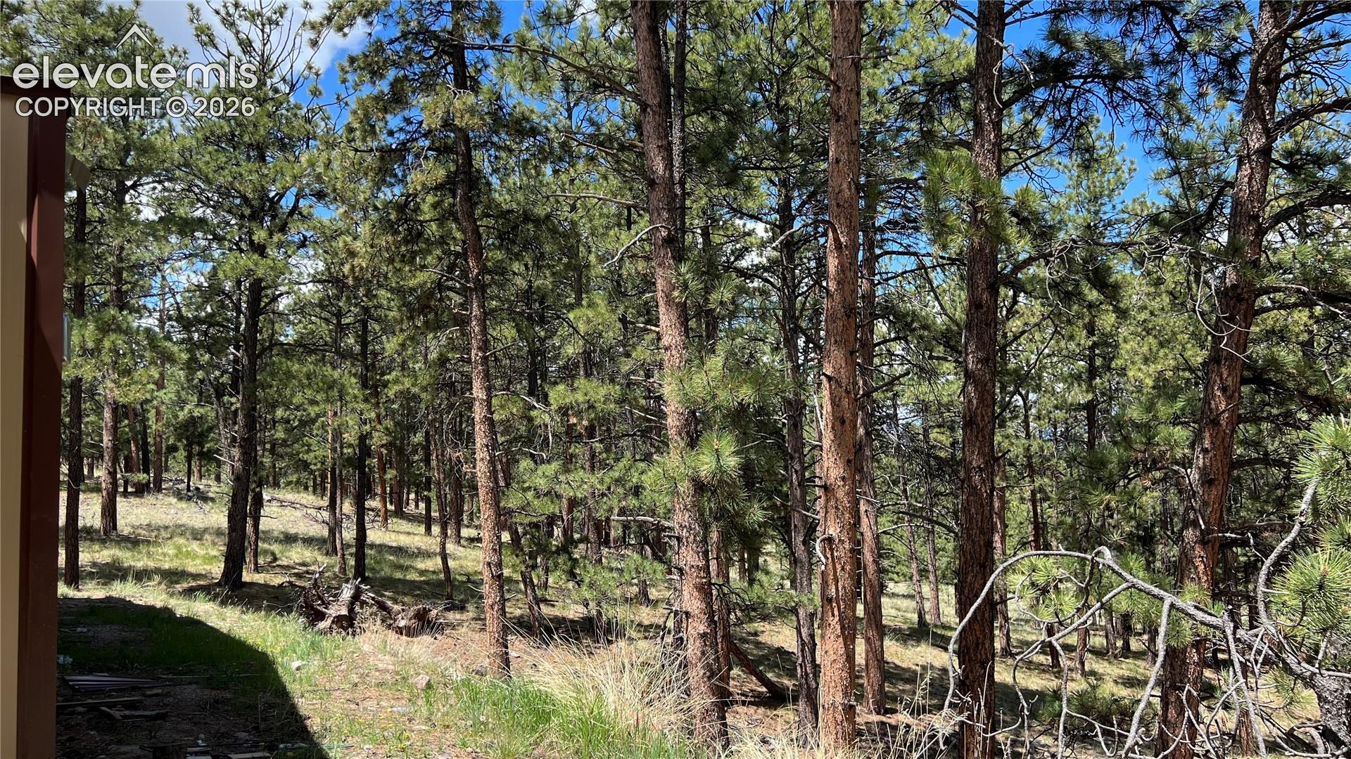 Land in Westcliffe 2