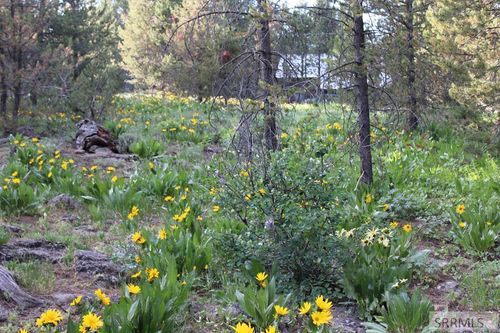 0000 Buffalo Ln, Island Park, ID, 83429 | Card Image