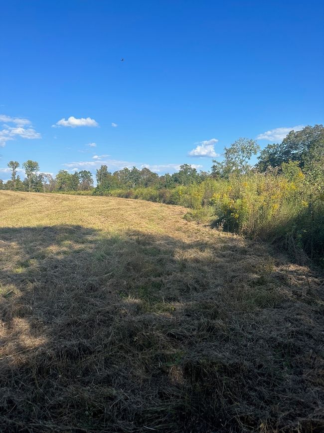 0 Short Cut Rd, Home with 0 bedrooms, 0 bathrooms and null parking in Lester AL | Image 5
