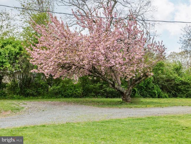 22066 Curtis Mill Ln, House other with 3 bedrooms, 2 bathrooms and null parking in RICHARDSVILLE VA | Image 12