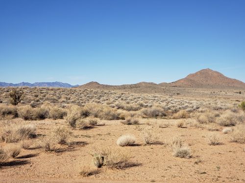 8934 Huntington Avenue, Kingman, AZ, 86401 | Card Image