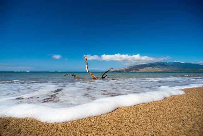 APT-523 - 938 S Kihei Rd, Condo with 1 bedrooms, 1 bathrooms and null parking in Kihei HI | Image 41