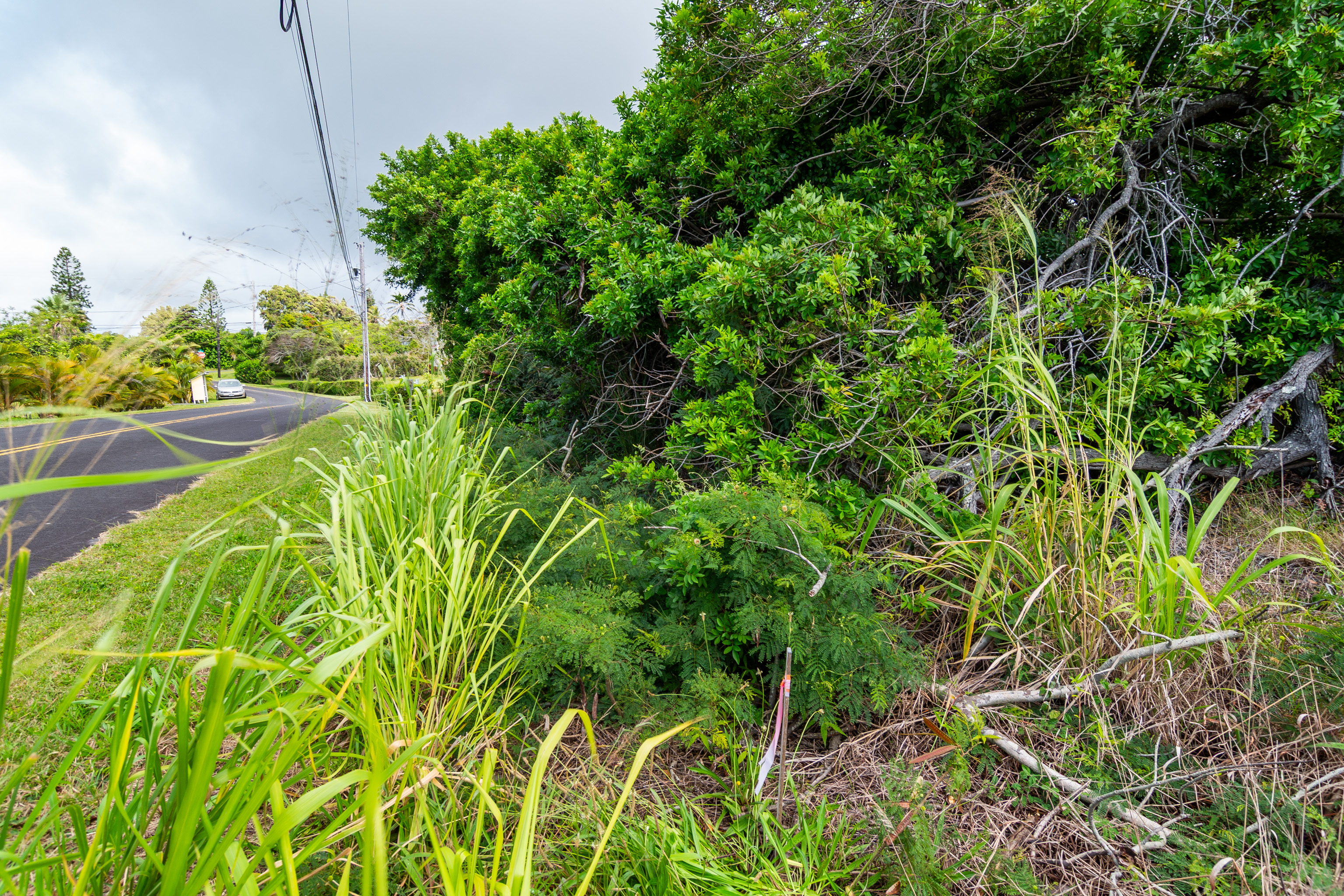 Land in Naalehu 4