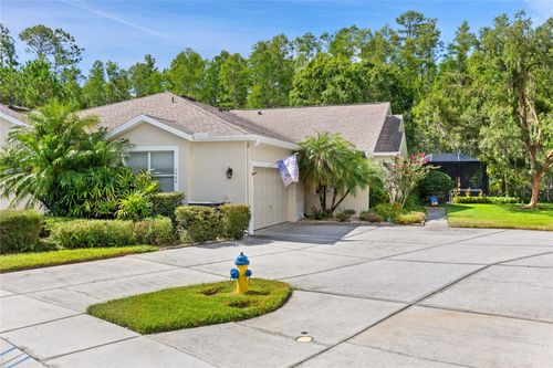 7239 Cleopatra Dr, LAND O LAKES, FL, 34637-7512 | Card Image