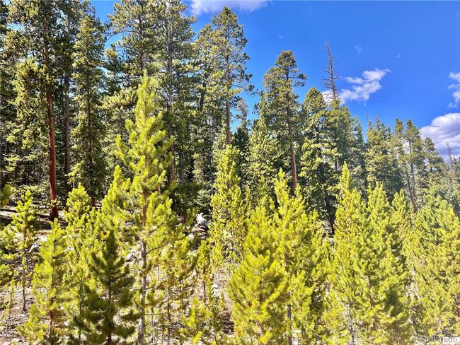 676 Dry Gulch Rd, Home with 0 bedrooms, 0 bathrooms and null parking in Fairplay CO | Image 31