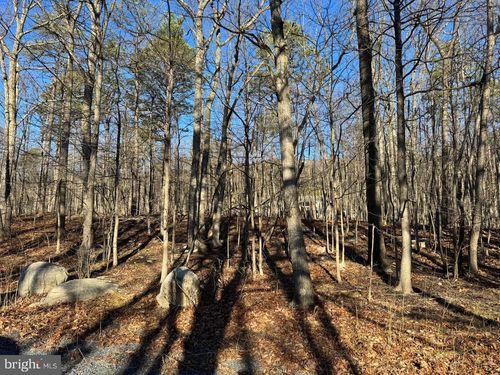 Lot 11 Pheasant Dr, WINCHESTER, VA, 22602 | Card Image