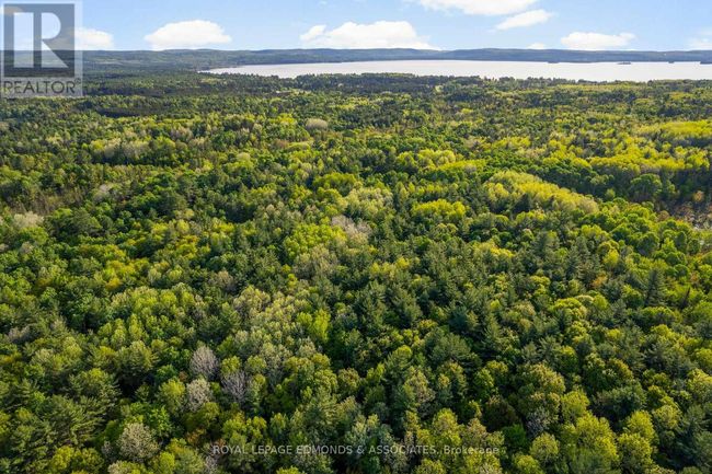0 Sunrise Rd, Home with 0 bedrooms, 0 bathrooms and null parking in Killaloe ON | Image 8