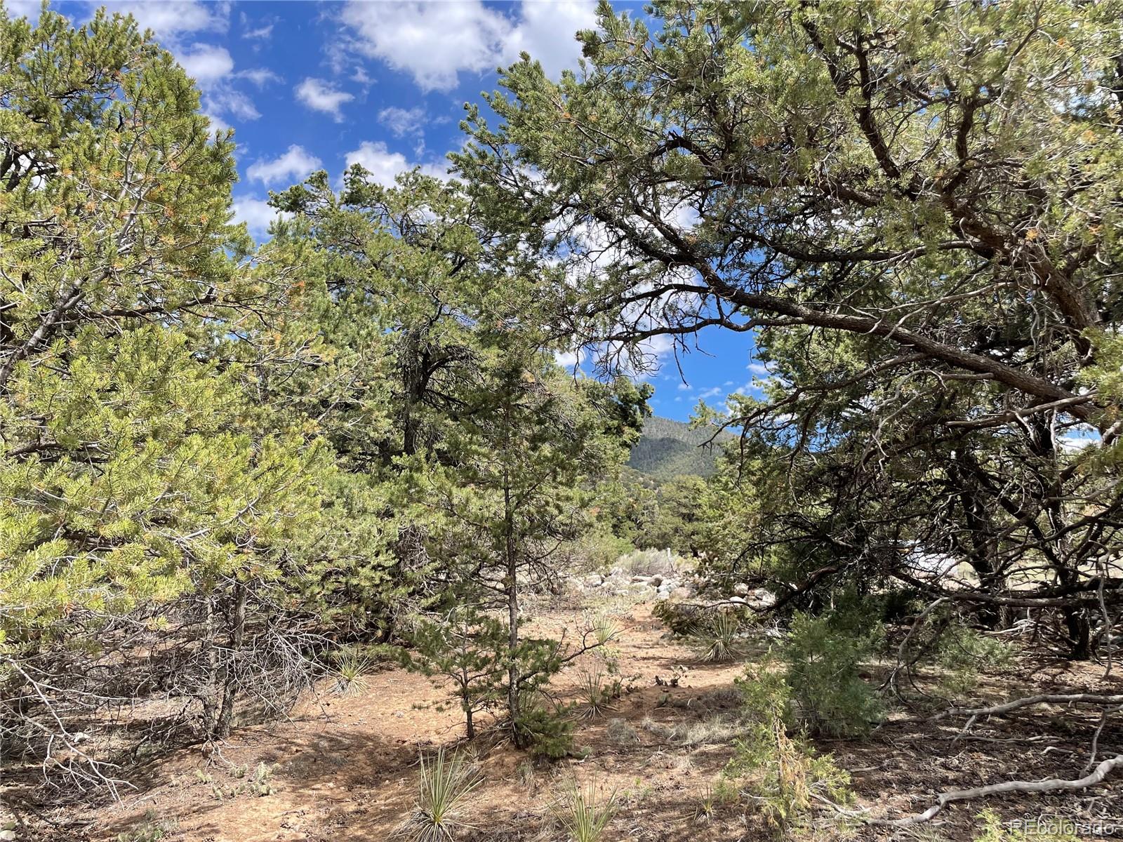 Land in Crestone 5
