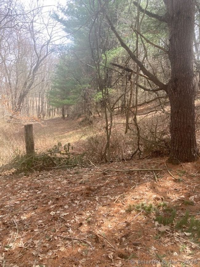 108 Burgess Rd, Home with 0 bedrooms, 0 bathrooms and null parking in Morris CT | Image 10