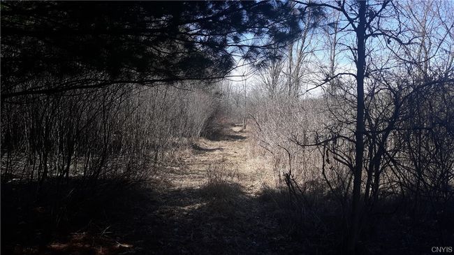 0 County Route 25, Home with 0 bedrooms, 0 bathrooms and null parking in Antwerp NY | Image 12