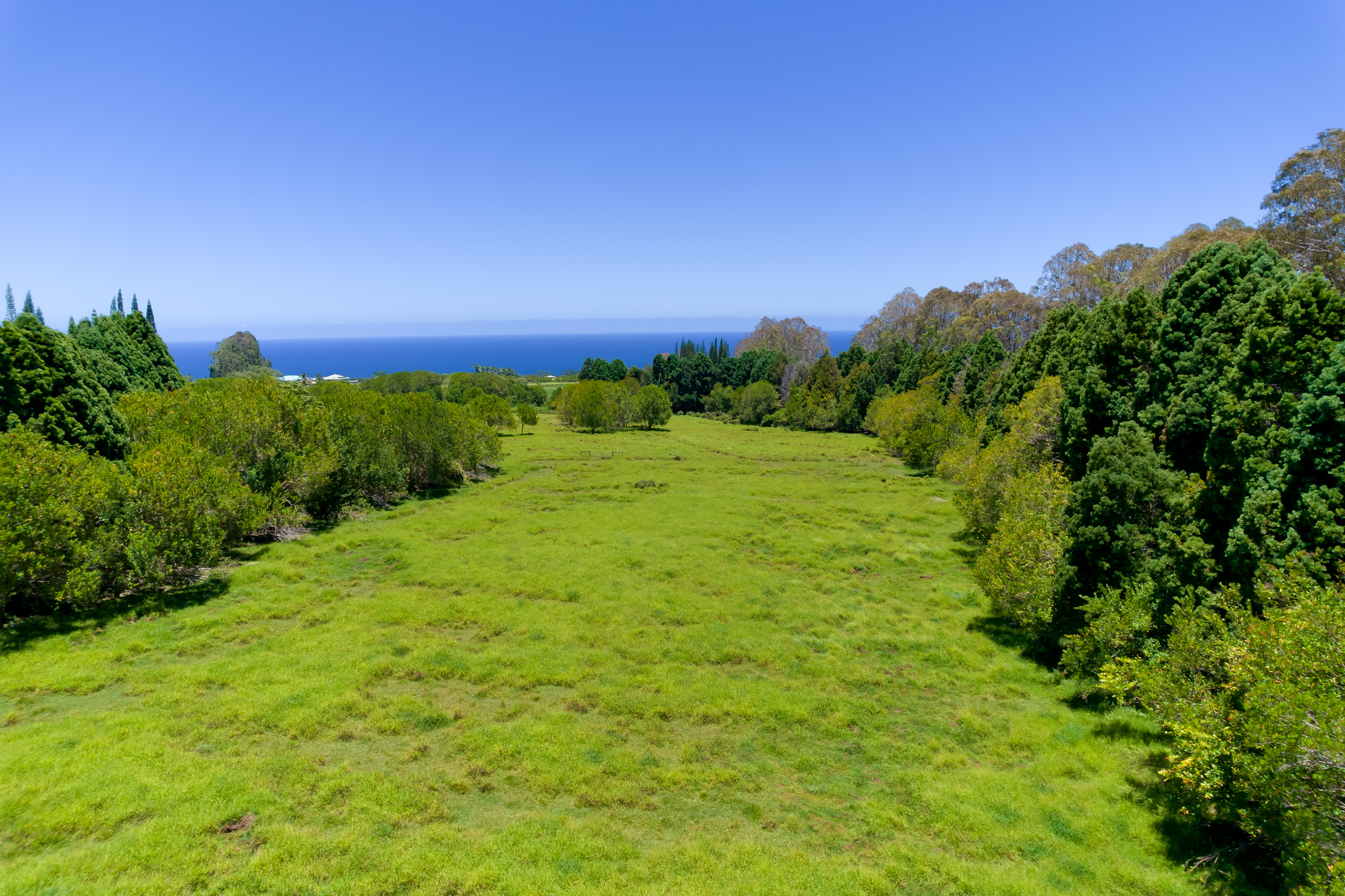 Land in Pepeekeo 5