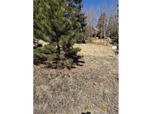 405 Meadow Park Dr, Divide, CO, 80814-9227 | Card Image