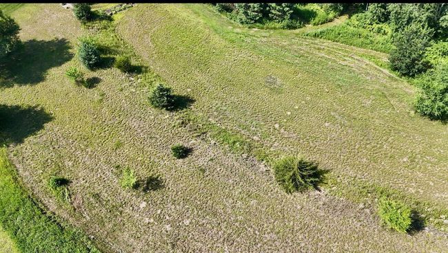 IMG_5643.jpg | Image 6