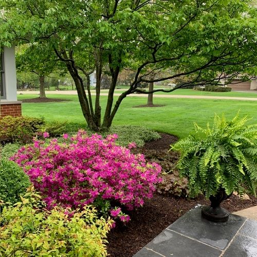 454 Harvard Ave, Barrington, IL, 60010-5033 | Card Image