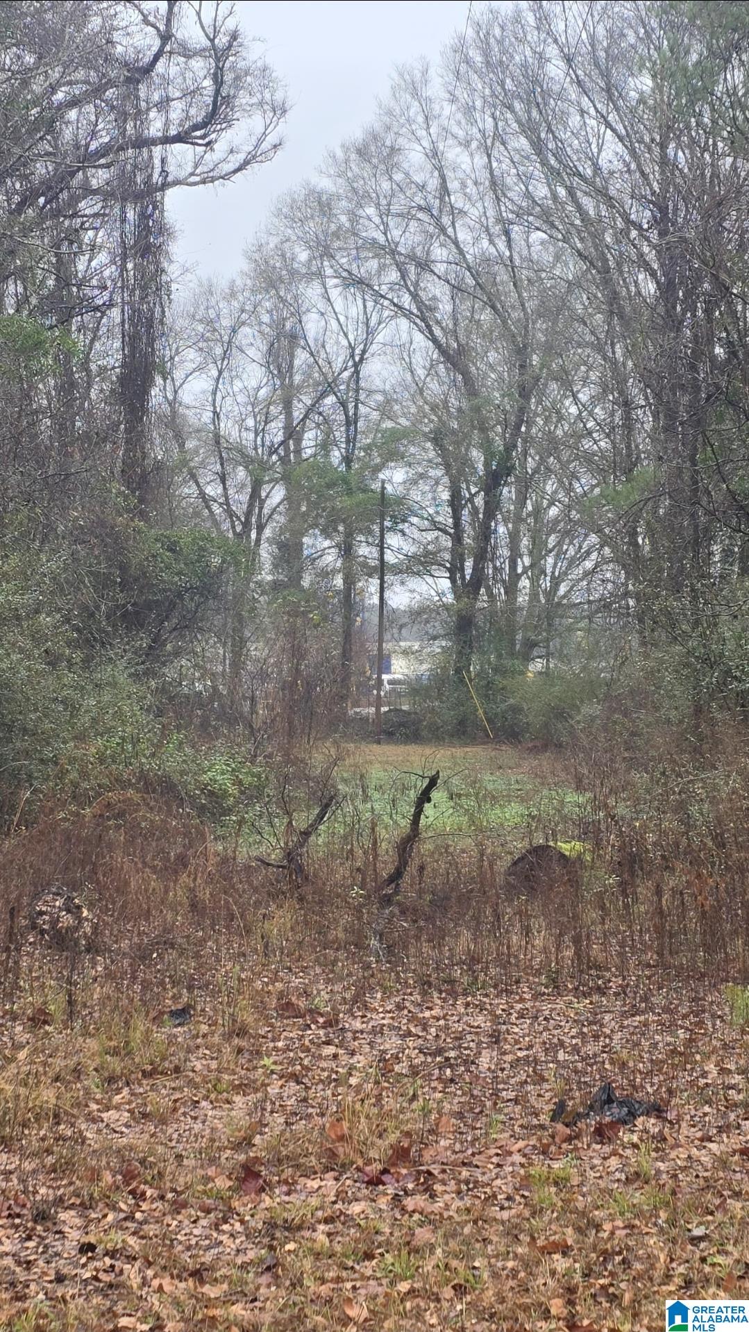 Land in HARPERSVILLE 5