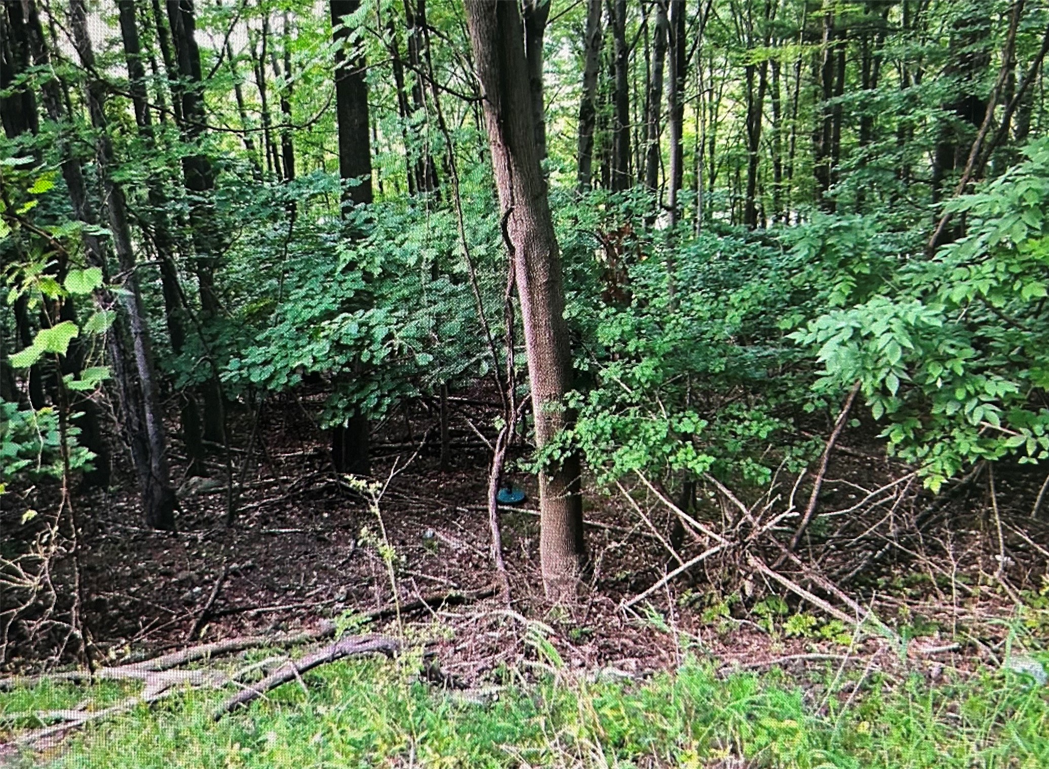 Land in Binghamton 3