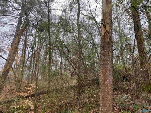 1 Bud Weaver Rd, Hartselle, AL, 35640 | Card Image