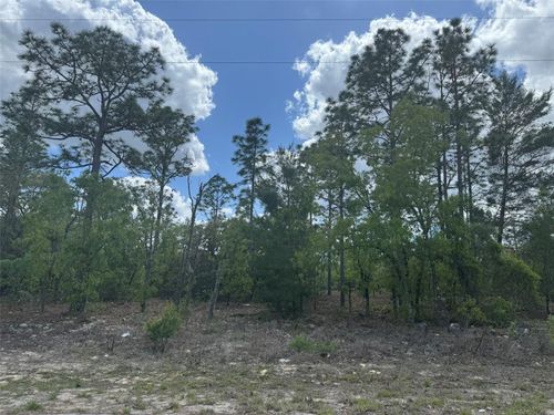 3000 W Liza Pl, DUNNELLON, FL, 34433-3272 | Card Image