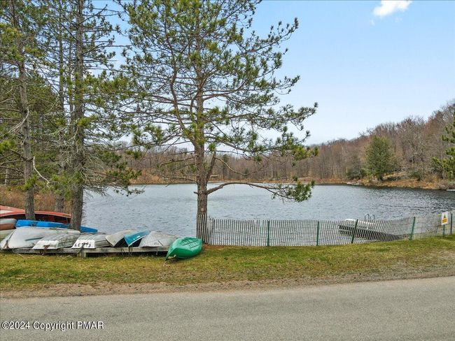 Lake in the Woods | Image 5