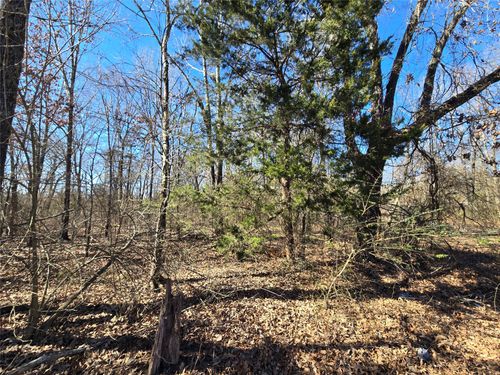 12980 Fm 44 S, Avery, TX, 75554-6102 | Card Image