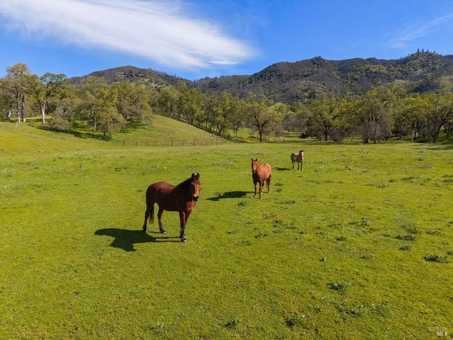 10950 Bachelor Valley Rd, House other with 3 bedrooms, 2 bathrooms and 20 parking in Witter Springs CA | Image 6