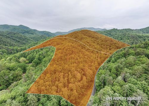 399 Shellstand Rd, Almond, NC, 28702 | Card Image