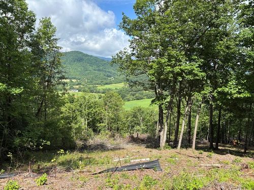 Lot # 17 Hill St, Hiawassee, GA, 30546 | Card Image