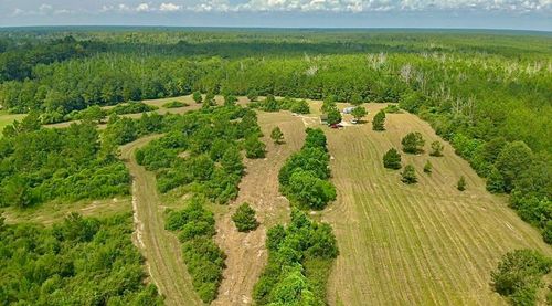 81363 George Sanner Rd Road, Village Mills, TX, 77663 | Card Image