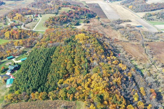 28.7 Acres Turkey Road, Home with 0 bedrooms, 0 bathrooms and null parking in BERRY WI | Image 9