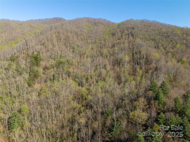 9999 Wayehutta Rd, Home with 0 bedrooms, 0 bathrooms and null parking in Cullowhee NC | Image 10