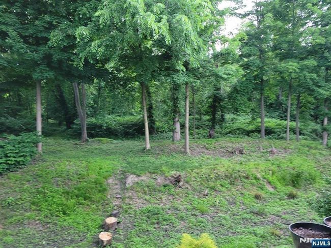 243 Paramus Rd, House other with 5 bedrooms, 3 bathrooms and null parking in Paramus NJ | Image 17