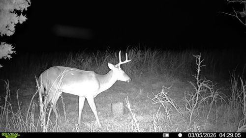 2340 Ridge Rd, Mc Ewen, TN, 37101-4203 | Card Image