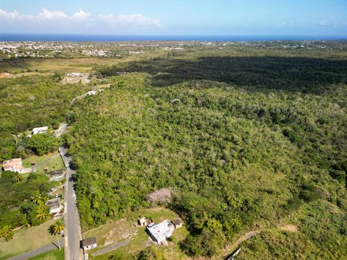 PR4459 Ceiba Alta, Aguadilla, PR, 00603 | Card Image