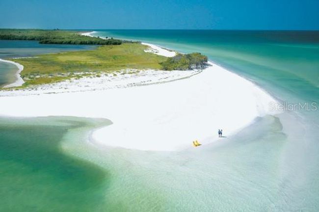 Caladesi Island Voted # 1 Beach In The Nation | Image 28