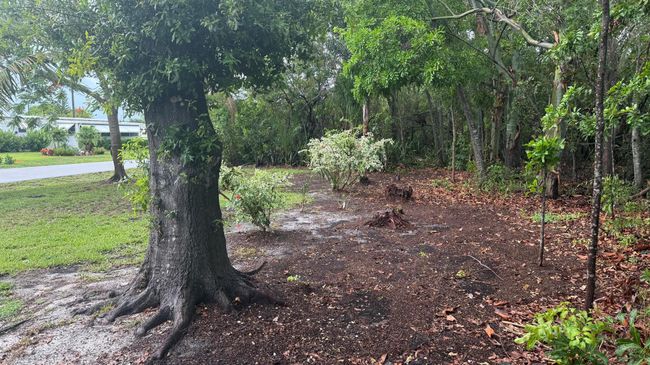 7289 Se Eagle Ave, House other with 3 bedrooms, 2 bathrooms and null parking in Hobe Sound FL | Image 38
