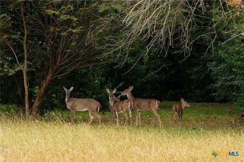 TBD Horseshoe Bend Road, Eddy, TX, 76524 | Card Image