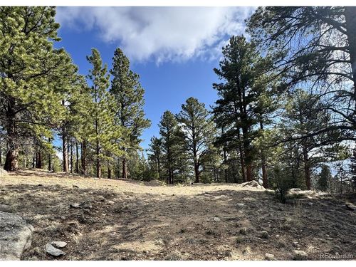 30317 Aspen Turn, Buena Vista, CO, 81211-8654 | Card Image