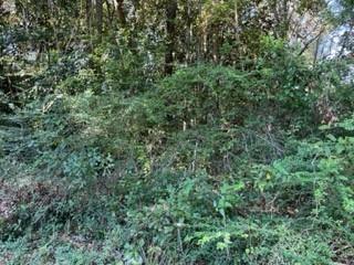 Woodchase Cir, Theodore, AL 36582