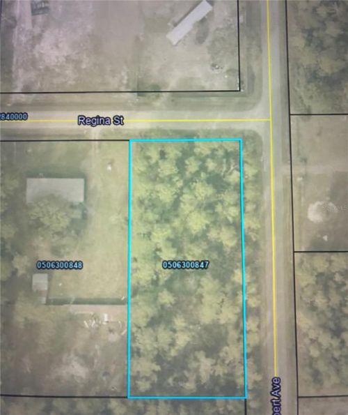 4205 Regina St, HASTINGS, FL, 32145-9365 | Card Image