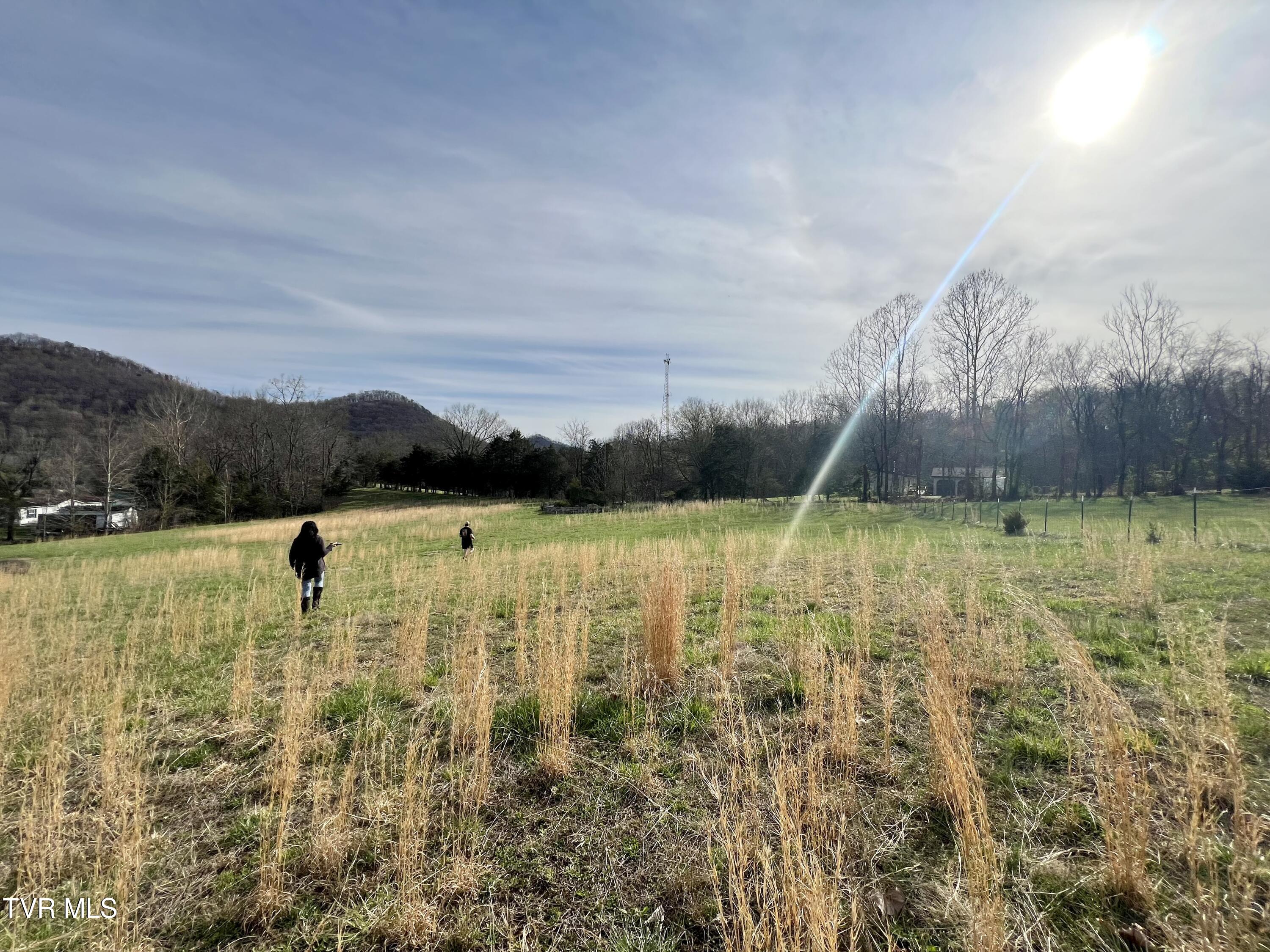Land in Mooresburg 2