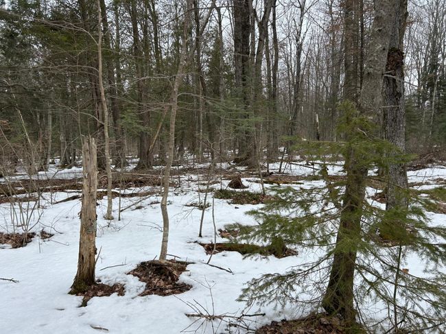 743 Woodlawn Rd, House other with 2 bedrooms, 1 bathrooms and null parking in Pickerel WI | Image 74