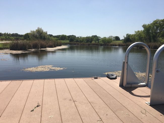 Fishing Pond | Image 35