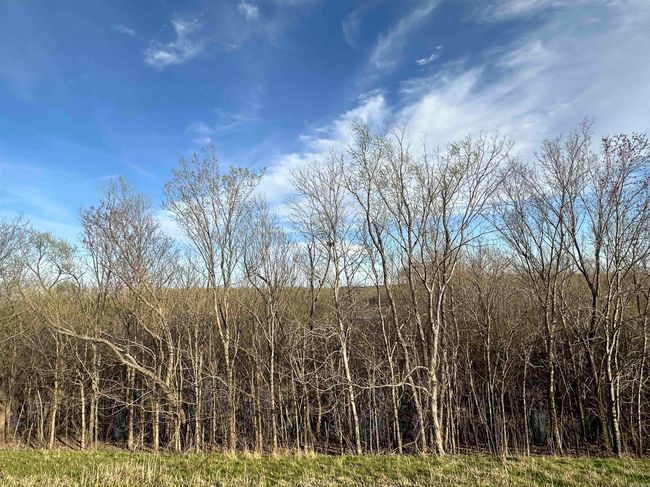 00 Ridgeview Rd, Home with 0 bedrooms, 0 bathrooms and null parking in Bradford AR | Image 16