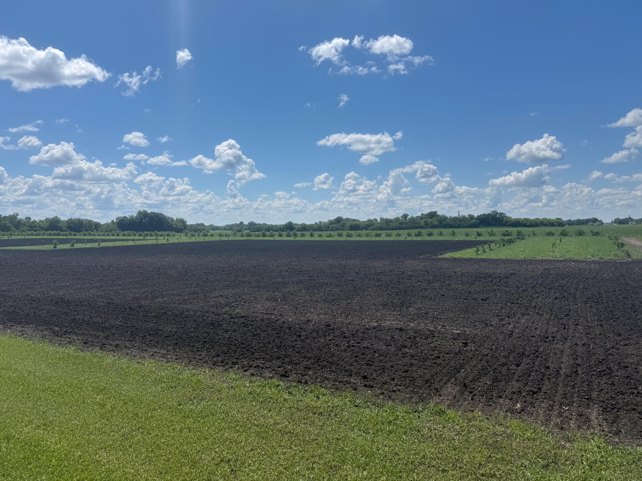 Land in Minto 5