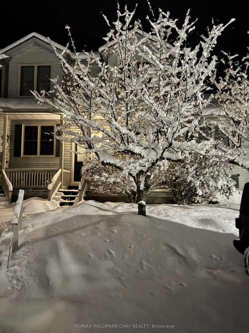 126-150 Victoria St S, Thornbury, ON, N0H2P0 | Card Image